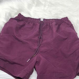 JULIPET Arcte Swim trunk For Men Size Medium Purple